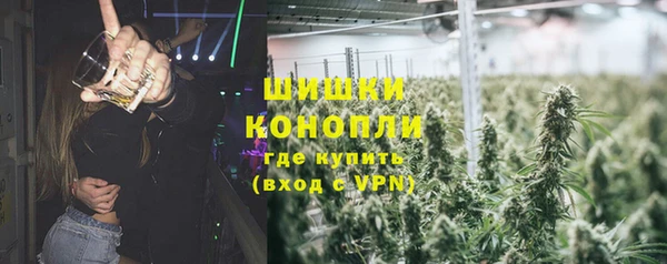 трава Надым
