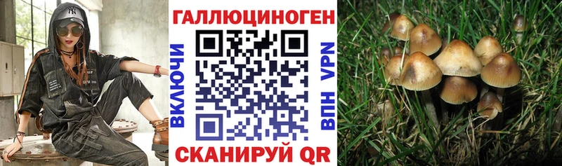 Псилоцибиновые грибы Cubensis  нарко площадка Telegram  Тырныауз  купить наркоту  hydra вход 